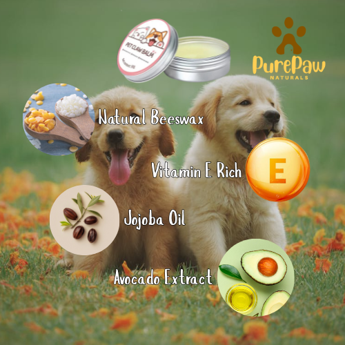 PurePaw Natural Beeswax Paw Balm