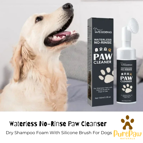 PurePaw Foam Brush